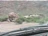 en